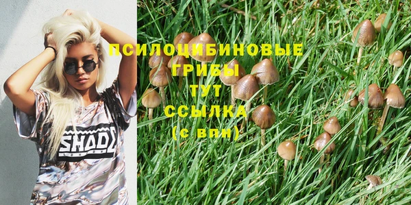 COCAINE Аркадак
