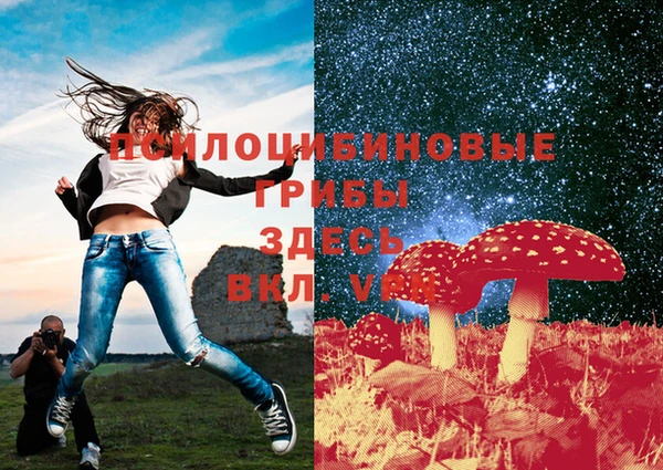 мескалин Армянск