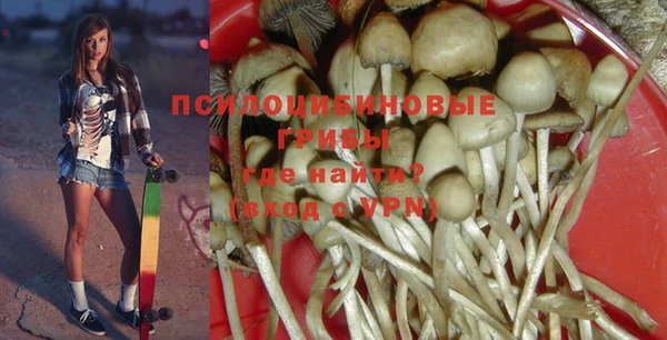 Альфа ПВП Арсеньев
