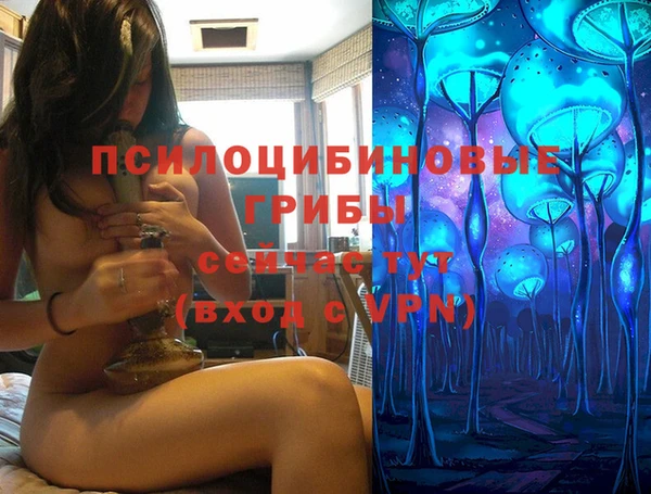 Альфа ПВП Арсеньев