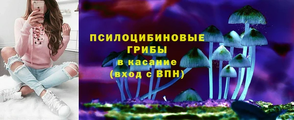 твердый Алзамай