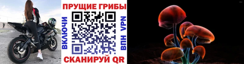 магазин продажи наркотиков  Артёмовск  Галлюциногенные грибы мицелий 